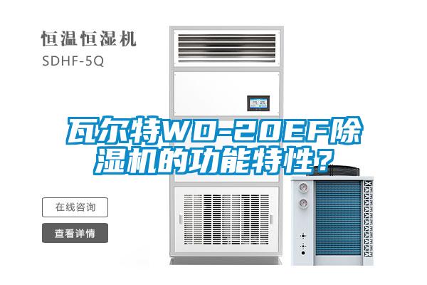 瓦爾特WD-20EF除濕機的功能特性？