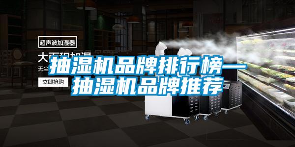 抽濕機品牌排行榜—抽濕機品牌推薦