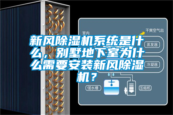 新風除濕機系統是什么，別墅地下室為什么需要安裝新風除濕機？