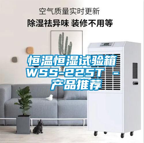 恒溫恒濕試驗箱WSS-225T - 產品推薦