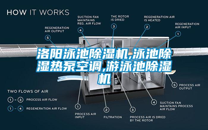 洛陽泳池除濕機,泳池除濕熱泵空調,游泳池除濕機