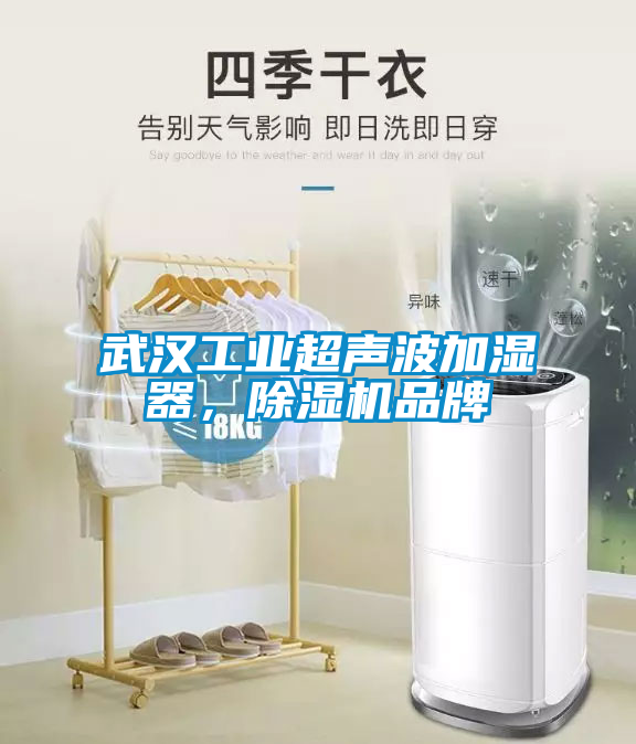 武漢工業(yè)超聲波加濕器，除濕機(jī)品牌