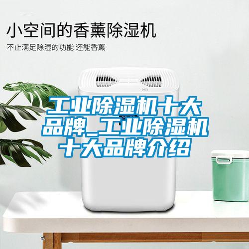 工業(yè)除濕機(jī)十大品牌_工業(yè)除濕機(jī)十大品牌介紹