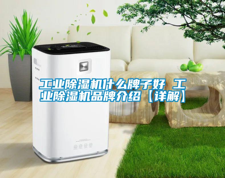 工業(yè)除濕機什么牌子好 工業(yè)除濕機品牌介紹【詳解】