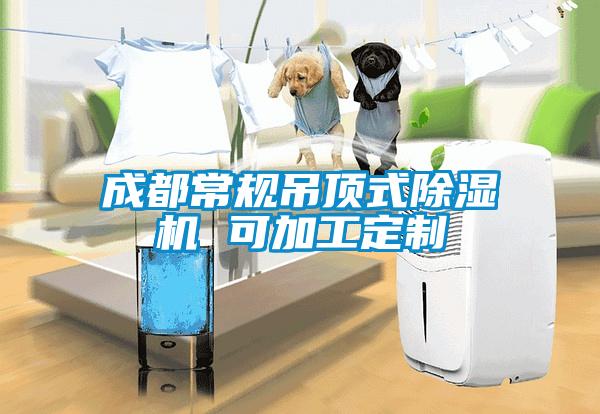 成都常規吊頂式除濕機 可加工定制