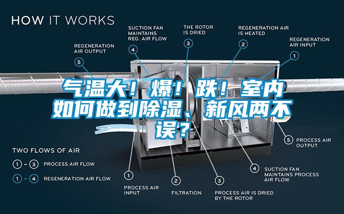 氣溫大！爆！跌！室內(nèi)如何做到除濕、新風兩不誤？