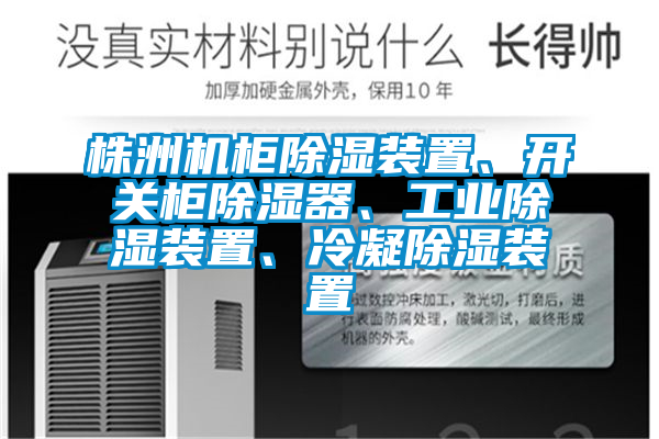 株洲機柜除濕裝置、開關(guān)柜除濕器、工業(yè)除濕裝置、冷凝除濕裝置