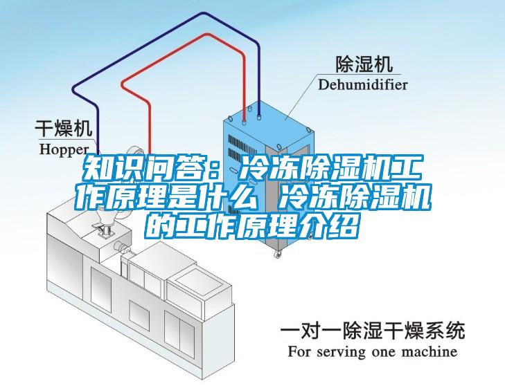 知識問答：冷凍除濕機工作原理是什么 冷凍除濕機的工作原理介紹