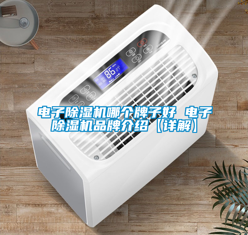 電子除濕機(jī)哪個(gè)牌子好 電子除濕機(jī)品牌介紹【詳解】