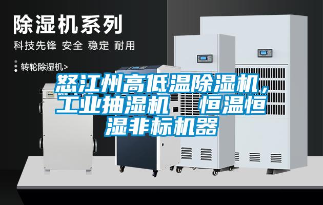 怒江州高低溫除濕機，工業抽濕機  恒溫恒濕非標機器