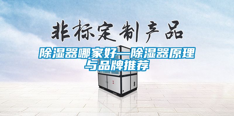 除濕器哪家好—除濕器原理與品牌推薦