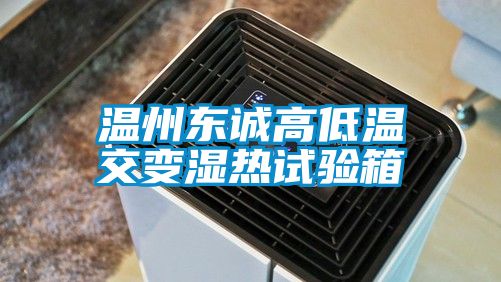 溫州東誠高低溫交變濕熱試驗箱