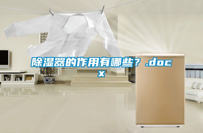 除濕器的作用有哪些？.docx