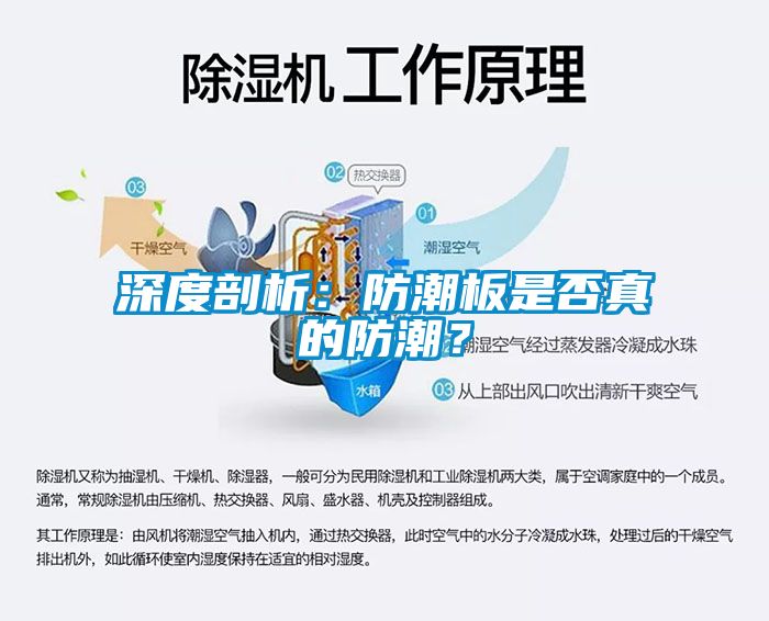 深度剖析：防潮板是否真的防潮？