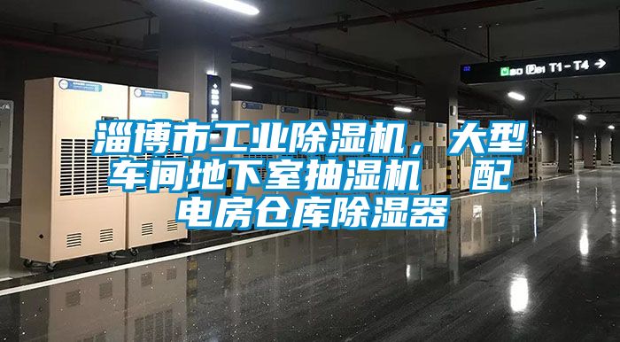 淄博市工業(yè)除濕機(jī)，大型車(chē)間地下室抽濕機(jī)  配電房倉(cāng)庫(kù)除濕器