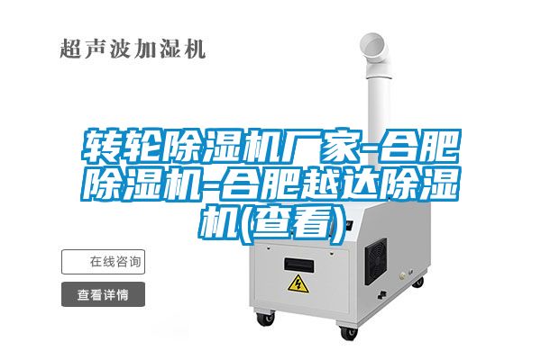 轉(zhuǎn)輪除濕機廠家-合肥除濕機-合肥越達除濕機(查看)