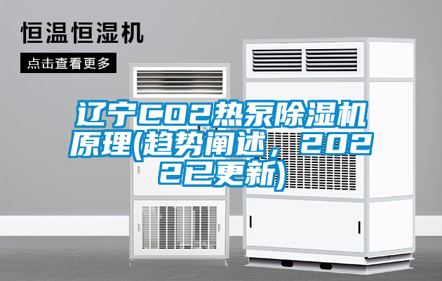 遼寧CO2熱泵除濕機原理(趨勢闡述，2022已更新)