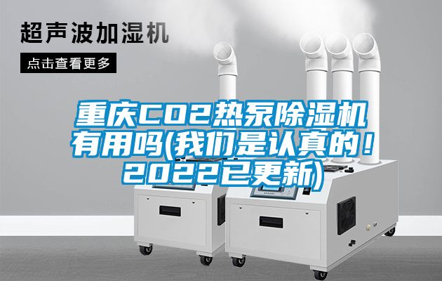 重慶CO2熱泵除濕機有用嗎(我們是認真的！2022已更新)