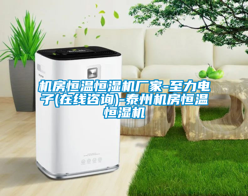 機房恒溫恒濕機廠家-至力電子(在線咨詢)-泰州機房恒溫恒濕機