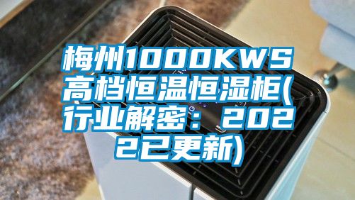 梅州1000KWS高檔恒溫恒濕柜(行業(yè)解密：2022已更新)