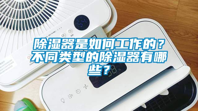 除濕器是如何工作的？不同類型的除濕器有哪些？