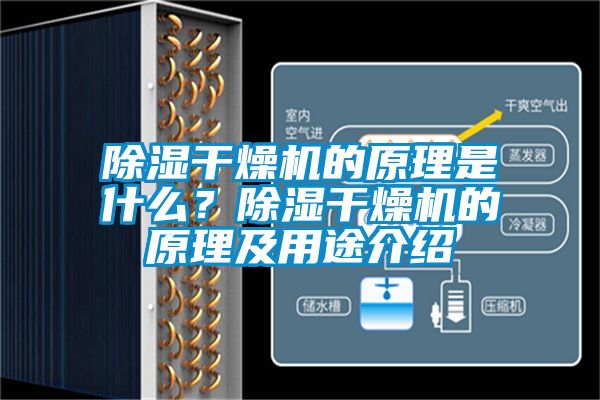 除濕干燥機的原理是什么？除濕干燥機的原理及用途介紹