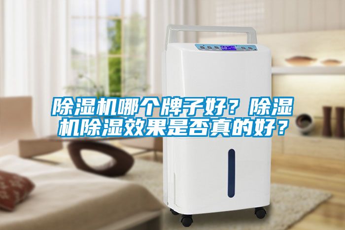 除濕機哪個牌子好？除濕機除濕效果是否真的好？