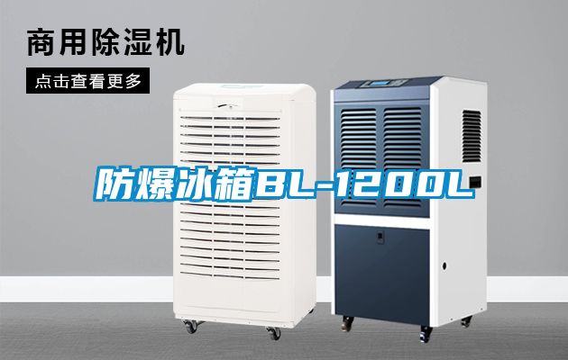 防爆冰箱BL-1200L