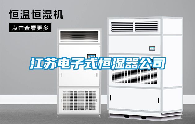 江蘇電子式恒濕器公司