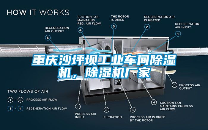 重慶沙坪壩工業車間除濕機，除濕機廠家