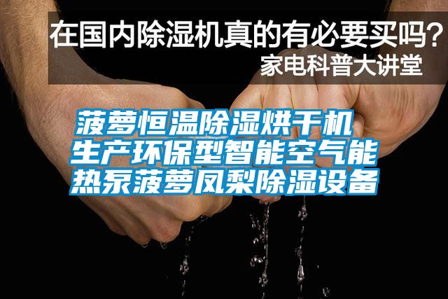 菠蘿恒溫除濕烘干機 生產環保型智能空氣能熱泵菠蘿鳳梨除濕設備