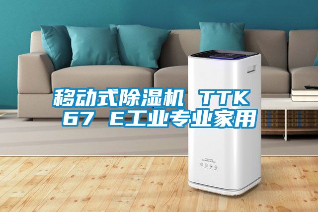 移動式除濕機 TTK 67 E工業專業家用