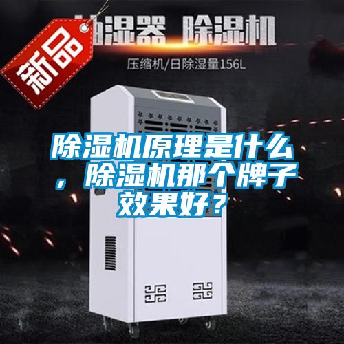 除濕機原理是什么，除濕機那個牌子效果好？