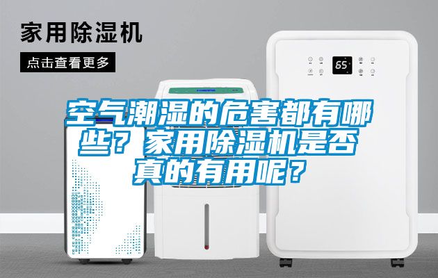 空氣潮濕的危害都有哪些？家用除濕機是否真的有用呢？