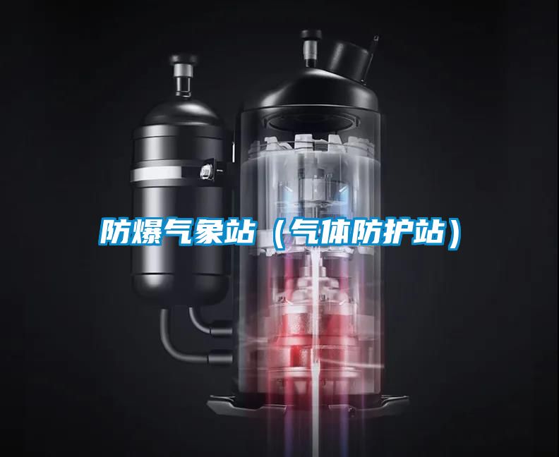 防爆氣象站（氣體防護(hù)站）