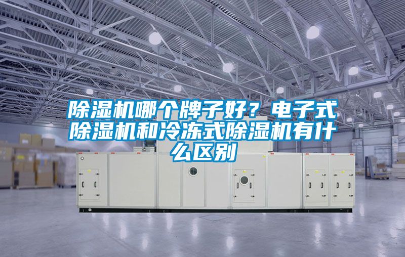 除濕機哪個牌子好？電子式除濕機和冷凍式除濕機有什么區別