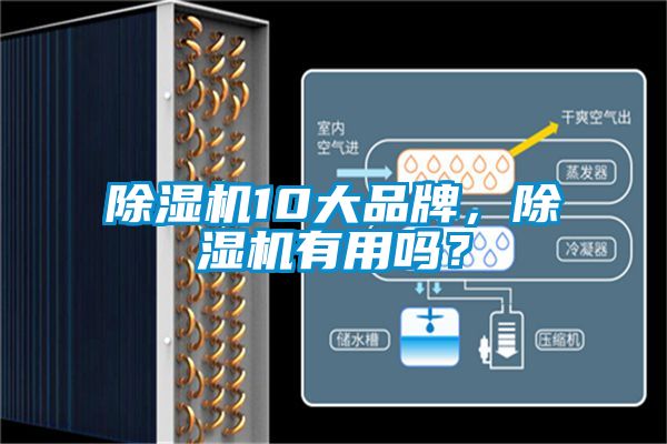 除濕機10大品牌，除濕機有用嗎？