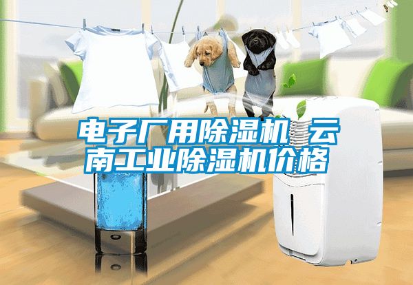 電子廠用除濕機 云南工業除濕機價格