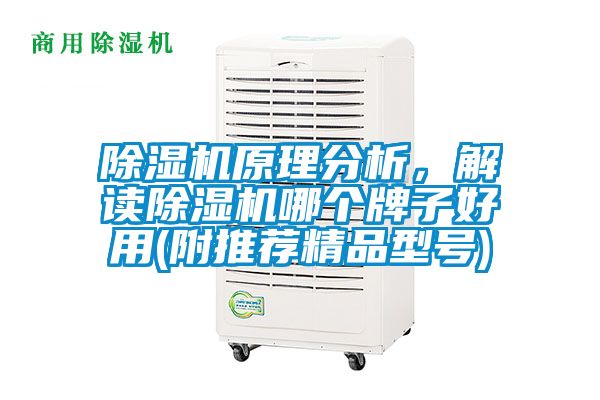 除濕機原理分析，解讀除濕機哪個牌子好用(附推薦精品型號)