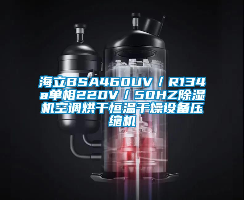 海立BSA460UV／R134a單相220V／50HZ除濕機空調烘干恒溫干燥設備壓縮機