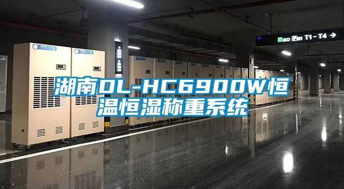 湖南DL-HC6900W恒溫恒濕稱重系統