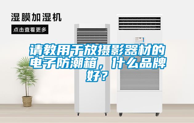 請教用于放攝影器材的電子防潮箱，什么品牌好？