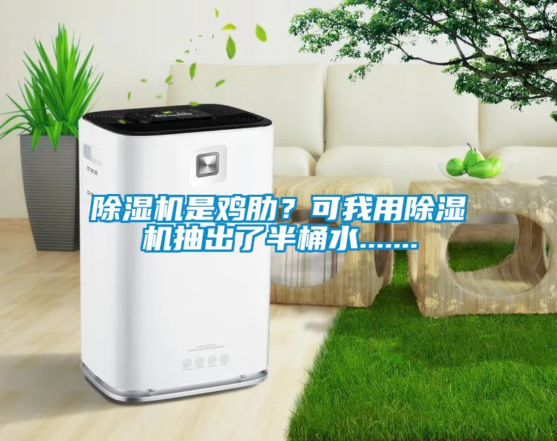 除濕機是雞肋？可我用除濕機抽出了半桶水.......