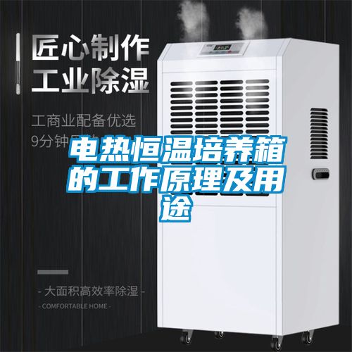 電熱恒溫培養箱的工作原理及用途