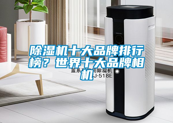 除濕機十大品牌排行榜？世界十大品牌相機