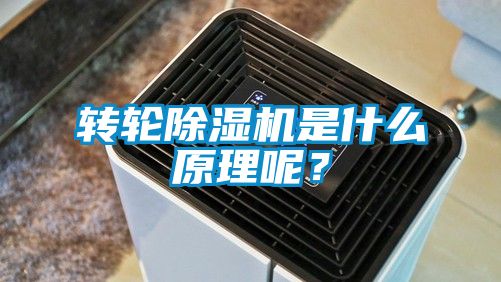 轉輪除濕機是什么原理呢？