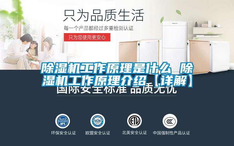 除濕機工作原理是什么 除濕機工作原理介紹【詳解】