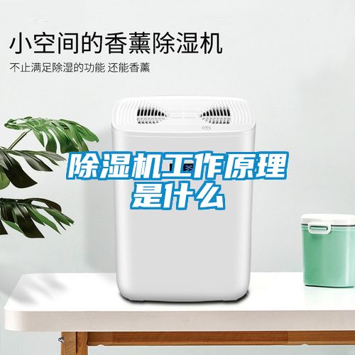 除濕機工作原理是什么