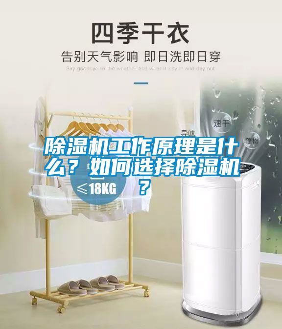 除濕機(jī)工作原理是什么？如何選擇除濕機(jī)？