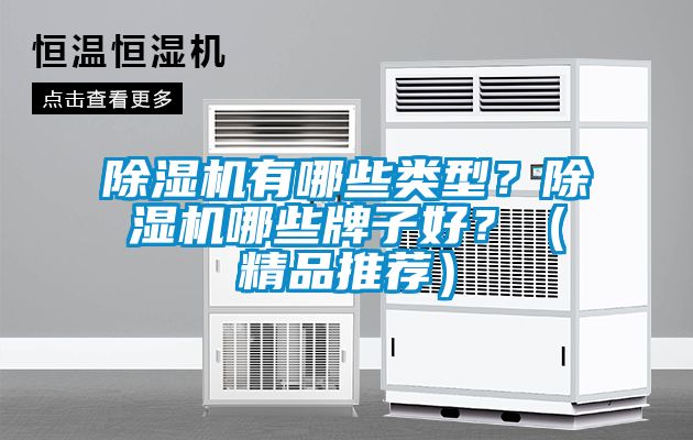 除濕機有哪些類型？除濕機哪些牌子好？（精品推薦）